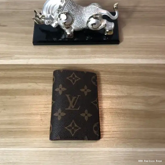Aaa replica bags LOUIS ORGANIZER VUITTON POCKET 0504